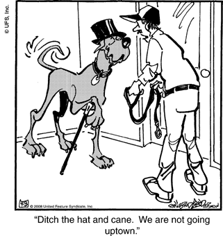 marmaduke